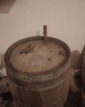 BOTTE IN ROVERE  200 LT