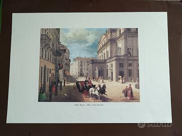 n°5 stampe ,natura morta