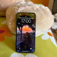 Iphone 13 128 Gb.