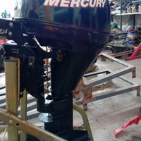 Mercury 9.9