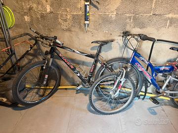 Coppia mountbike biciclette