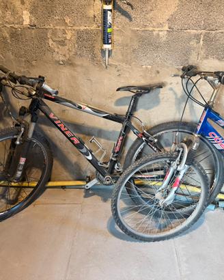 Coppia mountbike biciclette