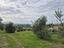 Immagine 10
