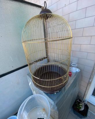 Gabbia x uccellini