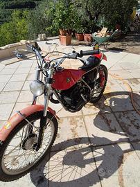 Bultaco 350 Sherpa Trial