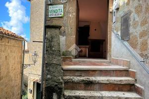 3 LOCALI A FARNESE