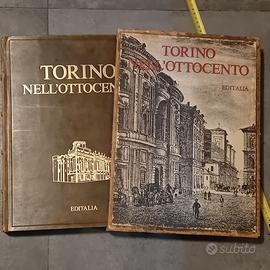 libro Torino nel 800 di brosio numerato e limitato
