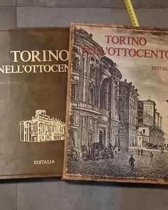 libro Torino nel 800 di brosio numerato e limitato