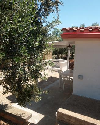 Ostuni tra campagna e mare
