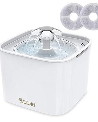 Fontanella acqua per gatti