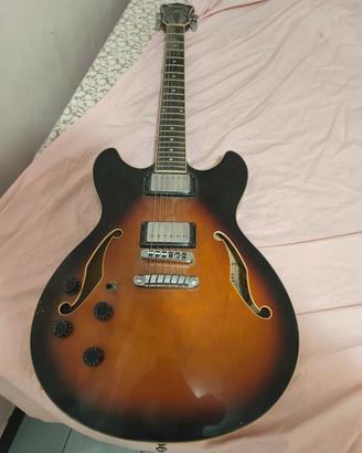 chitarra elettrica 