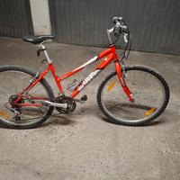 Mtb r 26