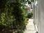 Immagine 11