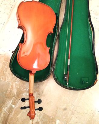 Violino