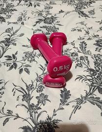 Manubri da 0.5 kg