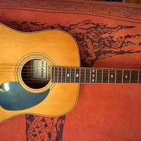 Chitarra Acustica Hyundai