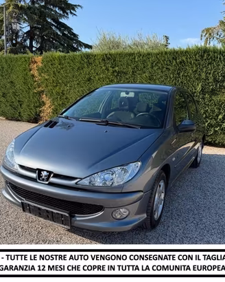 Peugeot 206 1.4 SW Enfant Terrible
