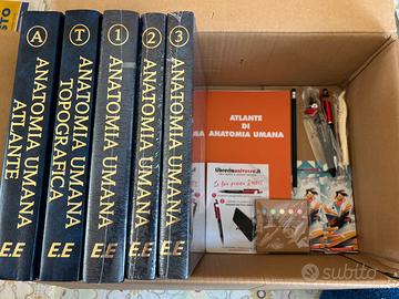 Trattato di Anatomia umana - edi ermes