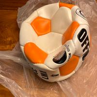Pallone da calcio