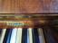 Immagine 6