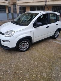 panda hibrid 1000 Fire fly