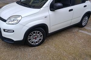 panda hibrid 1000 Fire fly