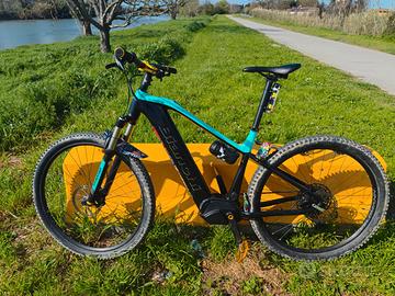 Bicicletta ebike