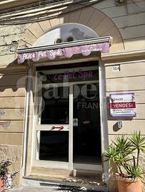 Negozio Sassari [Cod. rif 3314919VCG]