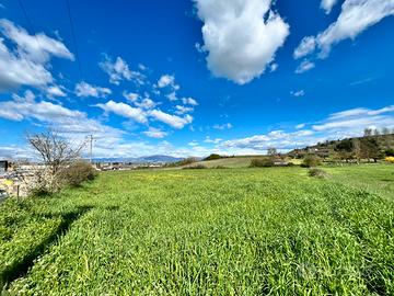 Terreno industriale d2