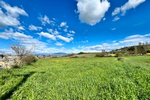 Terreno industriale d2