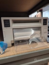 Stampante Mitsubishi D80 