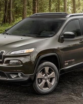 Ricambi usati jeep cherokee 2013-2019