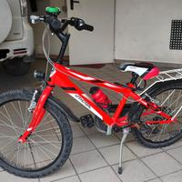 Bicicletta bambino 20