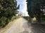 Immagine 18