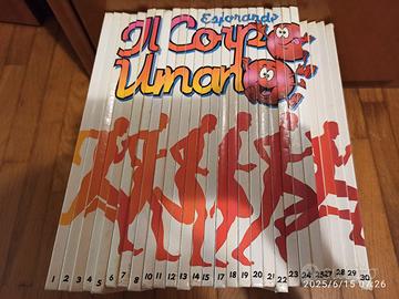 fascicoli educativi esplorando il corpo umano