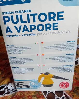 pulitore a vapore