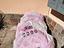 Immagine 6