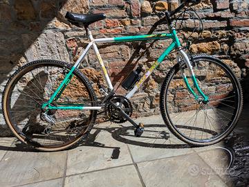bicicletta tipo mountain bike