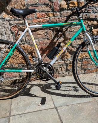 bicicletta tipo mountain bike