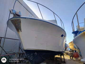 Barca adibita al noleggio nautico