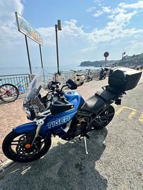 Triumph Tiger 800 - 2019