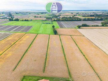 Terreno di 50000 m² a Mira