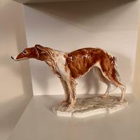 Cane levriero Guido Cacciapuoti