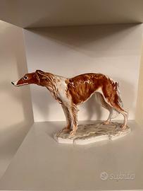 Cane levriero Guido Cacciapuoti