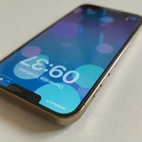 iPhone 13 pro max 256 giga
