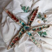 stella marina in ceramica