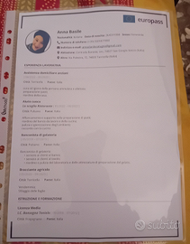 Cameriere. lavapiatti