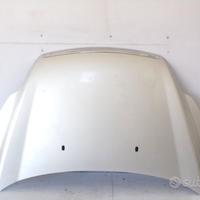 Cofano Anteriore Ford Focus 2 2009