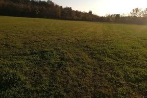 Terreno agricolo