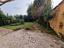 Immagine 7